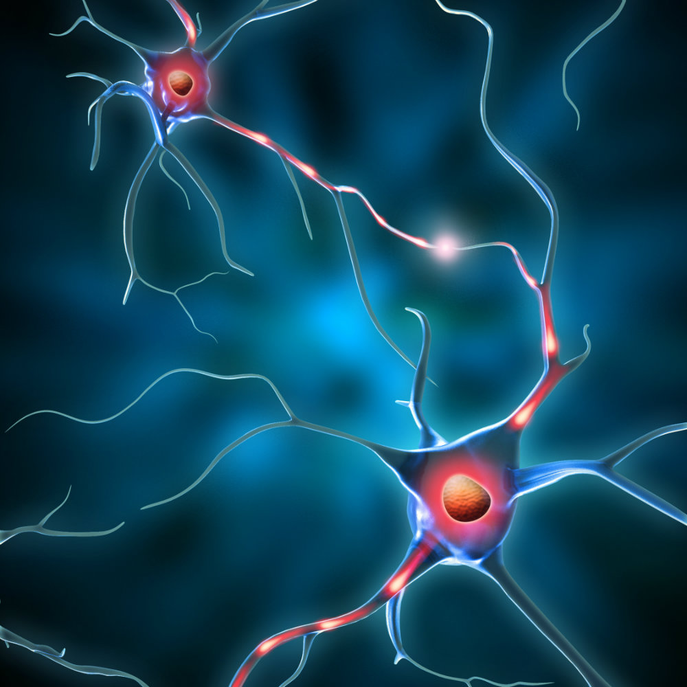 Unlocking the Wonders of Neurotransmitters
